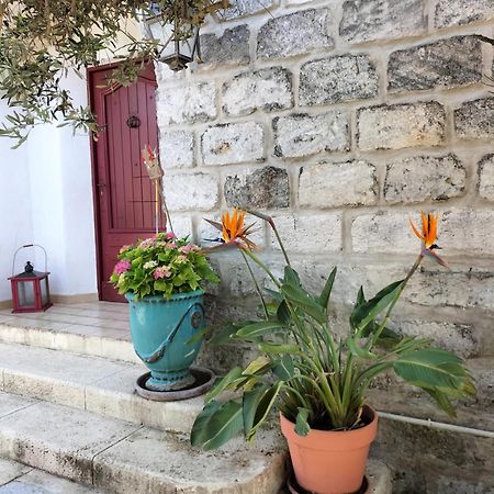 Charmant Appart Avec Jardin Aigues-Mortes Dış mekan fotoğraf