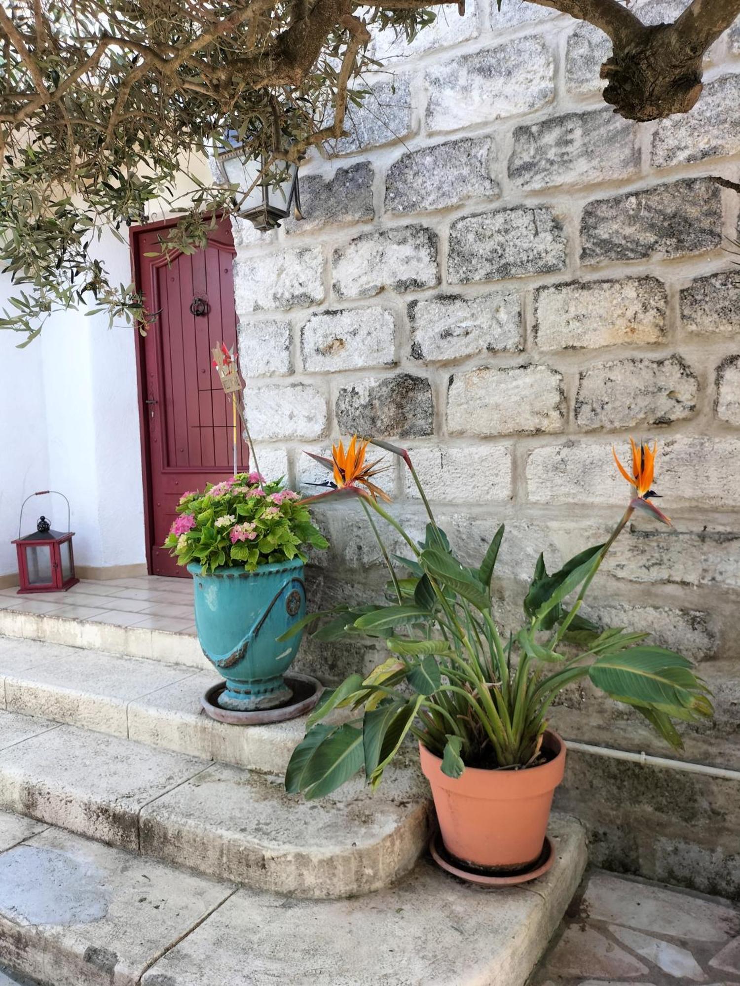 Charmant Appart Avec Jardin Aigues-Mortes Dış mekan fotoğraf